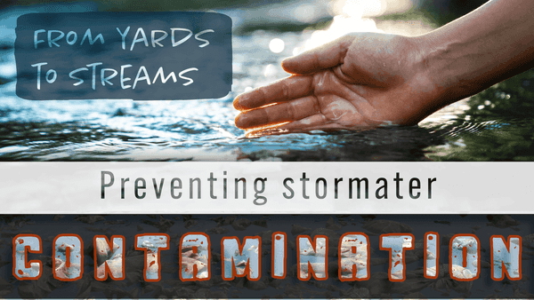 Graphic with a person's hand touching water, titled From Yards to Streams: Preventing stormwater contamination. The word contamination is in large, distressed letters with water textures inside.